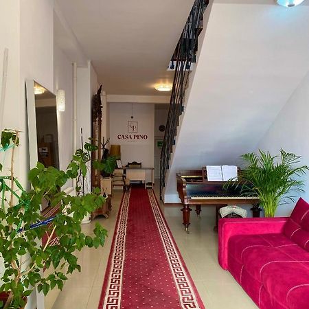 فندق Casa Pino براشوف المظهر الخارجي الصورة